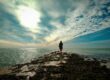 Life, Growth, and Connection: What You May Have Missed