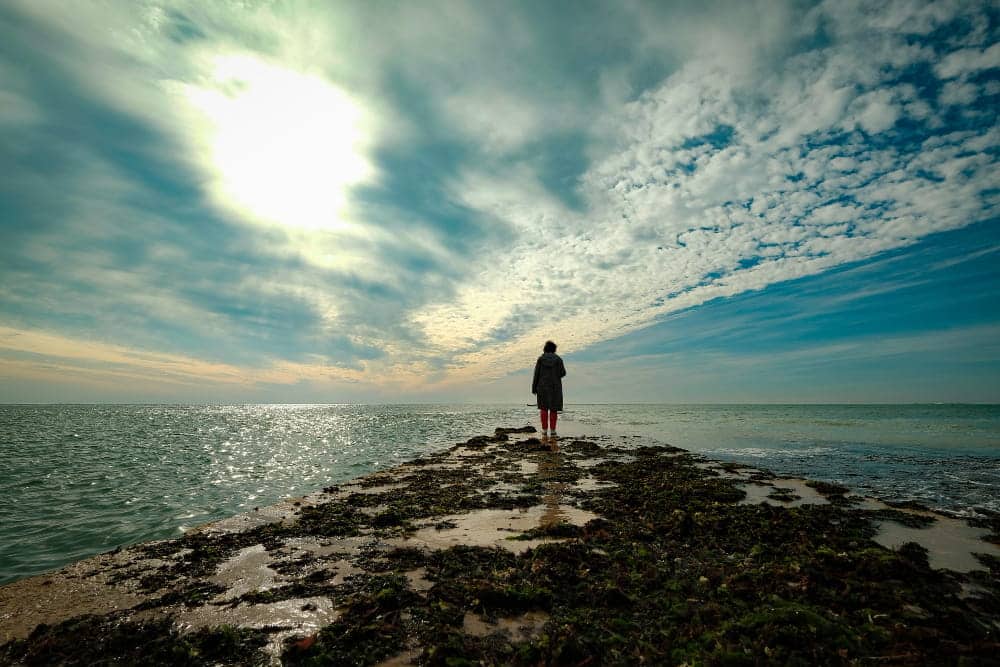 Life, Growth, and Connection: What You May Have Missed Life, Growth, and Connection: What You May Have Missed